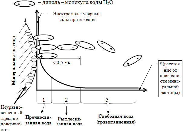 Схема взаимодействия молекул воды с поверхностью минеральной частицы. На представленной схеме выделены различные слои связанной и свободной воды в зависимости от расстояния их от поверхности частицы грунта.