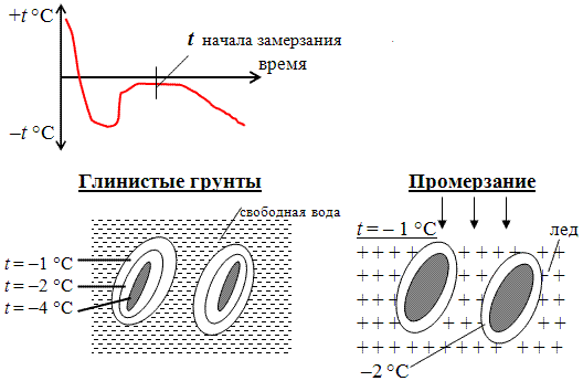 1. Опыты Нерсесовой по определению температуры начала замерзания. 2.Содержание плёночной и свободной воды в глинистом грунте. 3.При промерзании вокруг глинистых частиц остаются плёнки незамёрзшей воды.